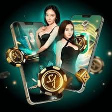 popbra login popbra login